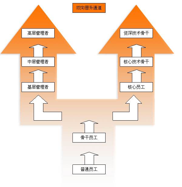 注意：职场新人升职技巧